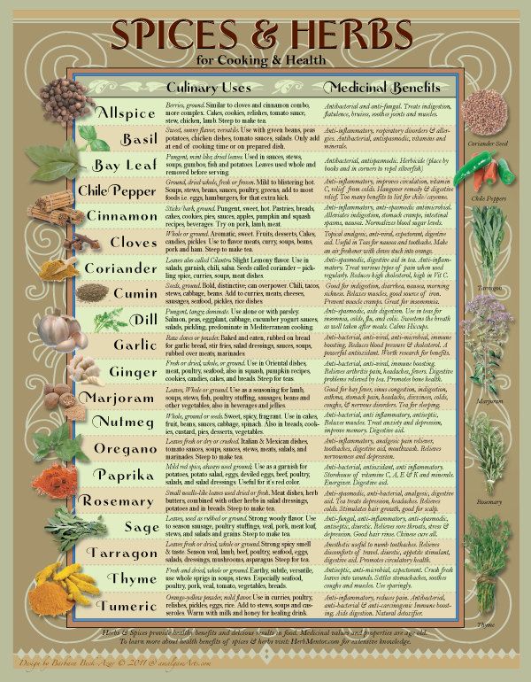 Healing Herbs and Spices Chart for the kitchen by AmalgamARTS Natural ...