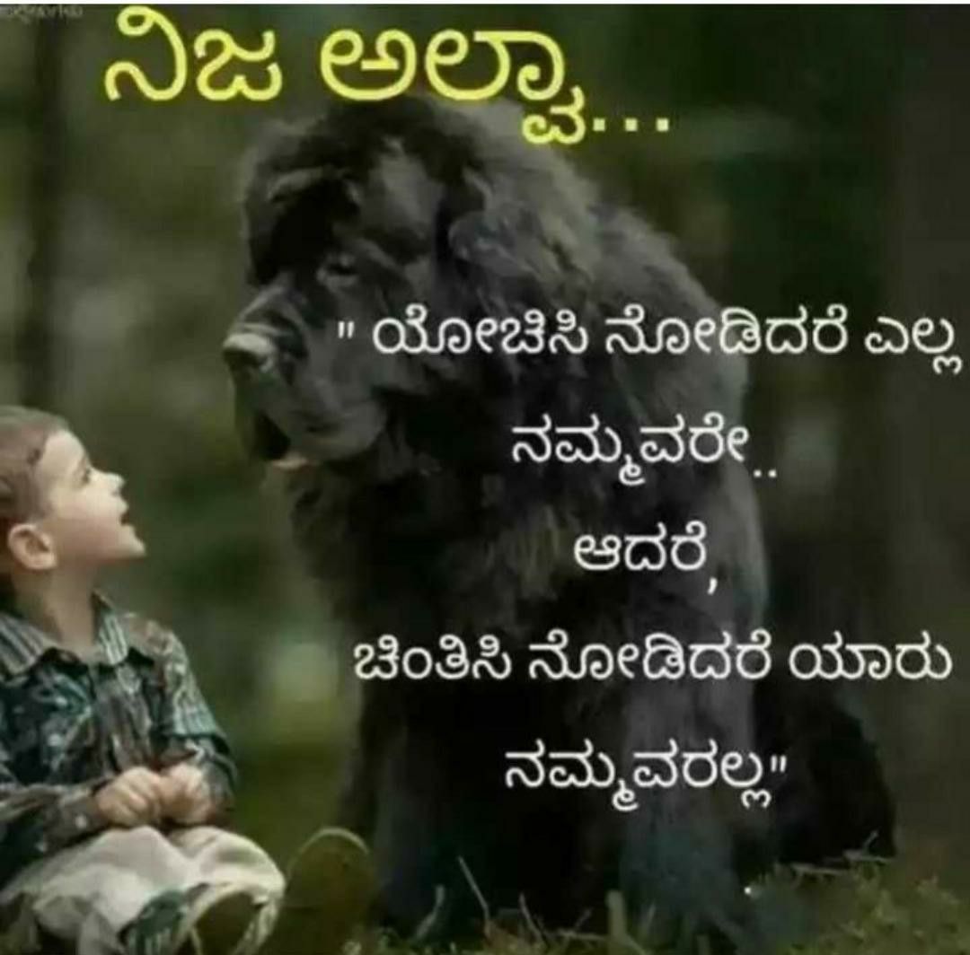 Pin by Sandhya Kodikanda on kannada quotes | Feelings quotes ...