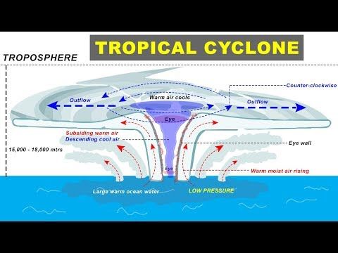 Tropical Cyclone Formation - Geography of UPSC, IAS, CDS, NDA - YouTube ...