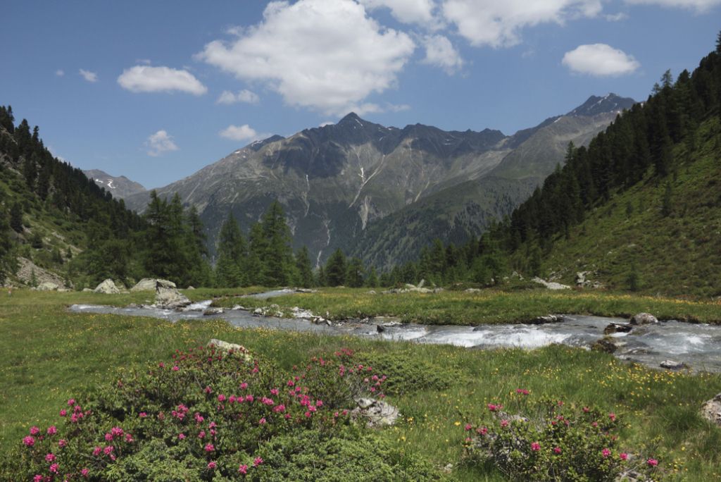 22 Breathtaking Signs Of Spring Around The World | Around the worlds ...