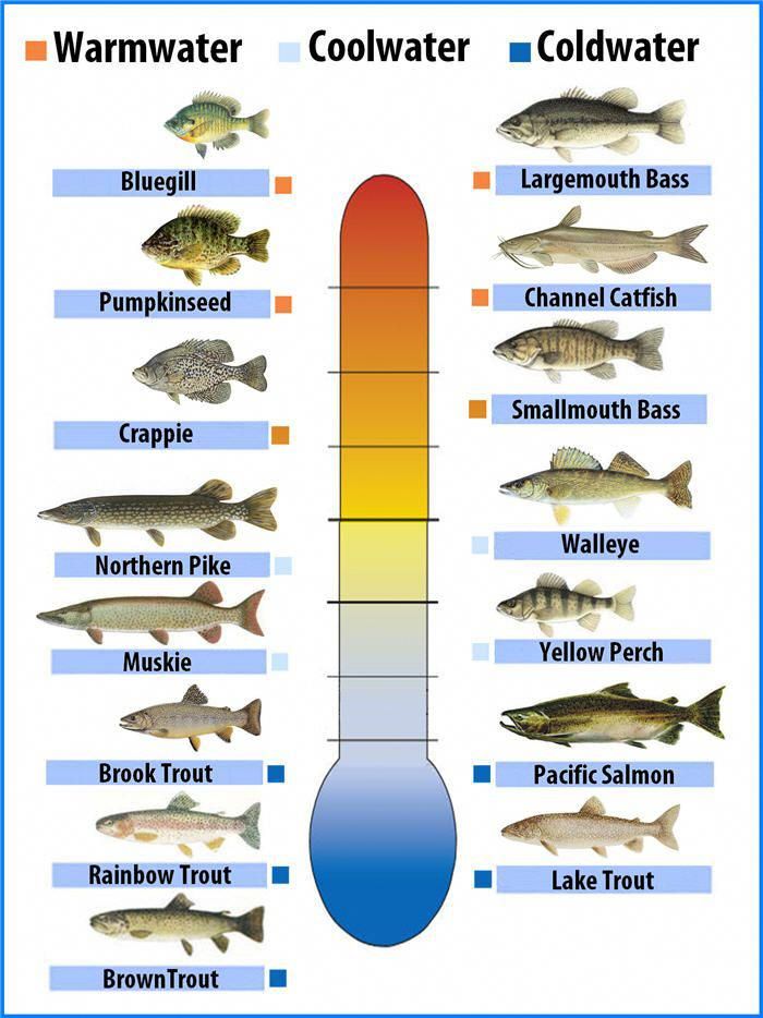 Printable Fish Tank Ph Level Chart