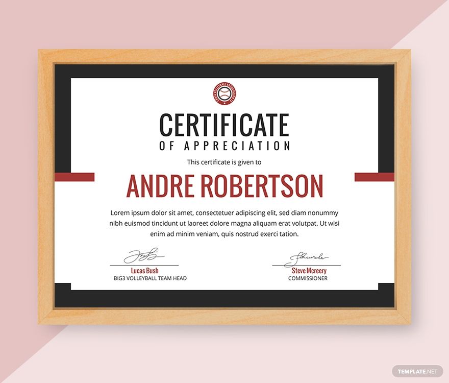 Volleyball appreciation certificate template google docs word publisher ...