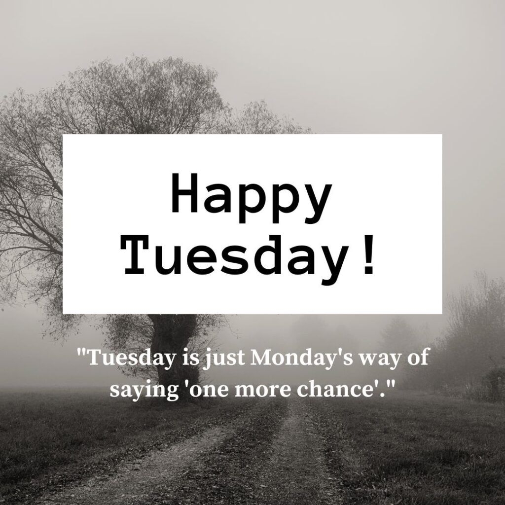 Happy Tuesday Quotes: 220+ Positive Quotes to Start Your Day | Tuesday ...