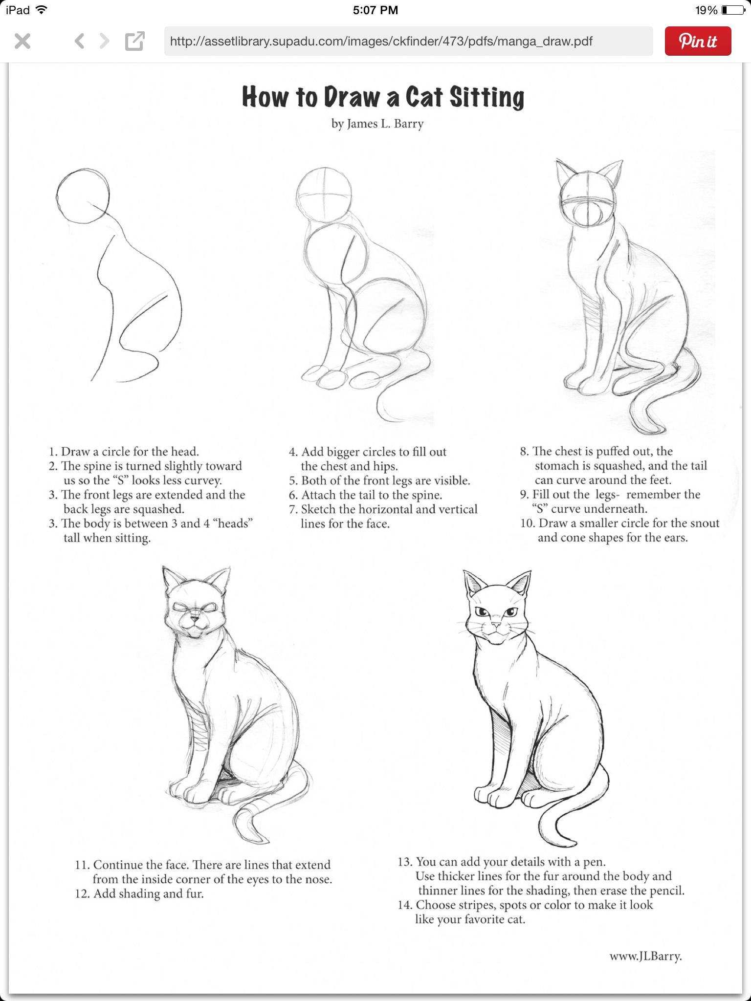 How To Draw A Warrior Cat Step By Step : Warrior Draw Cat Drawing Step ...