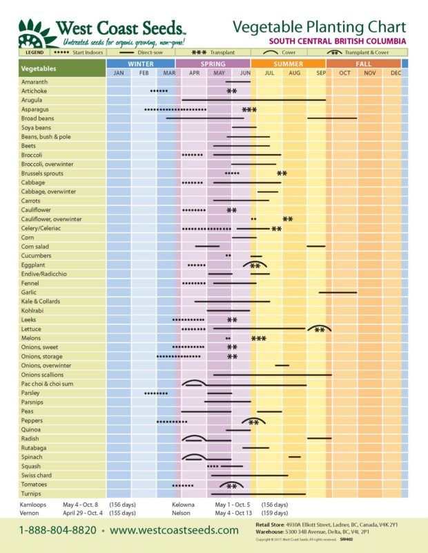 Seed Starting Chart Zone 6