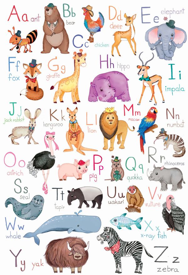 Animal A-Z #2 | Alphabet preschool, Alphabet worksheets preschool ...