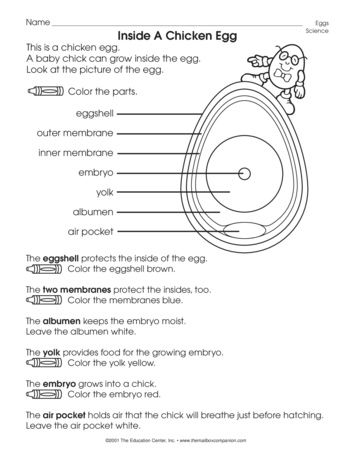 Inside An Egg, Lesson Plans - The Mailbox | Agriculture education ...