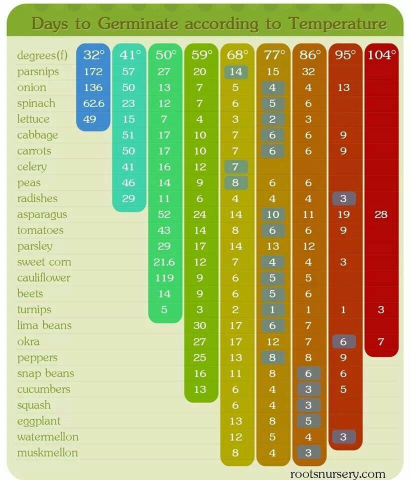 Printable Seed Germination Chart