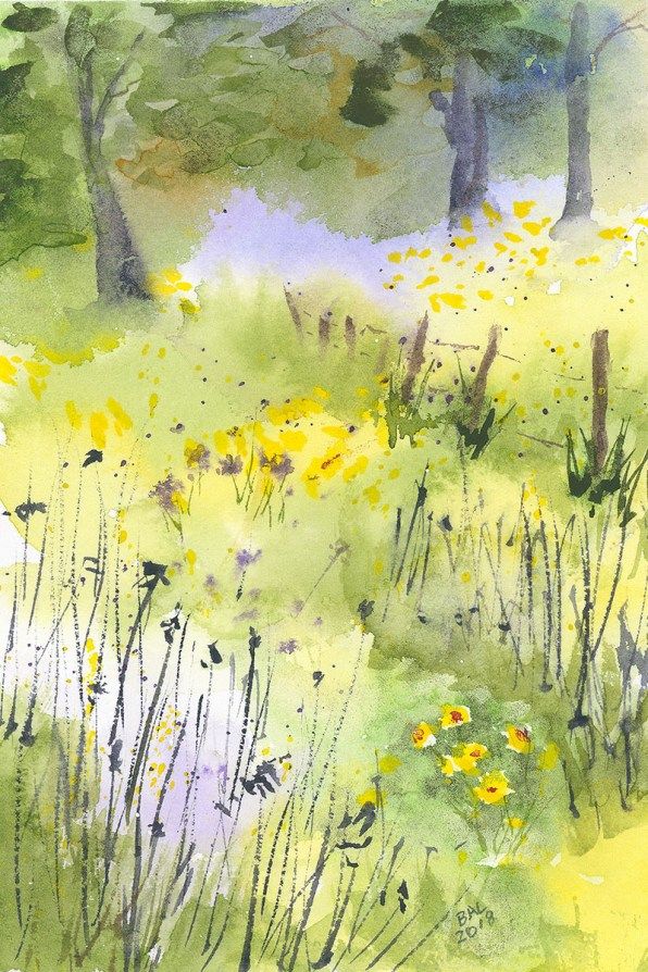 Summer Meadow | Watercolor art, Watercolor landscape, Watercolor flower art