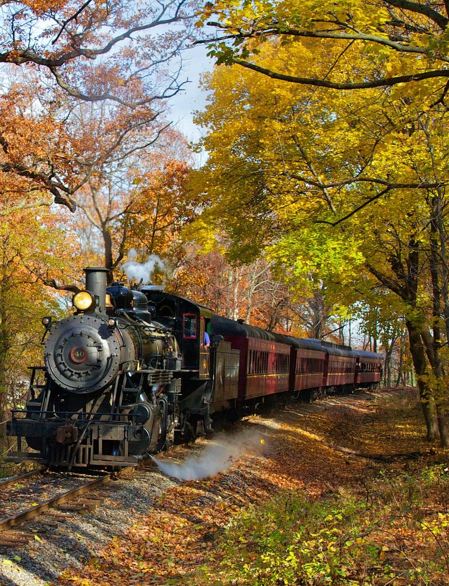 Steam Engine Train in the Autumn Woods