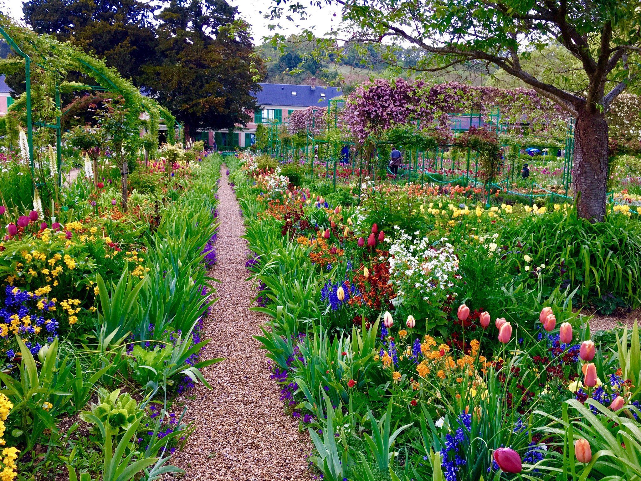 Jardin De Monet Giverny