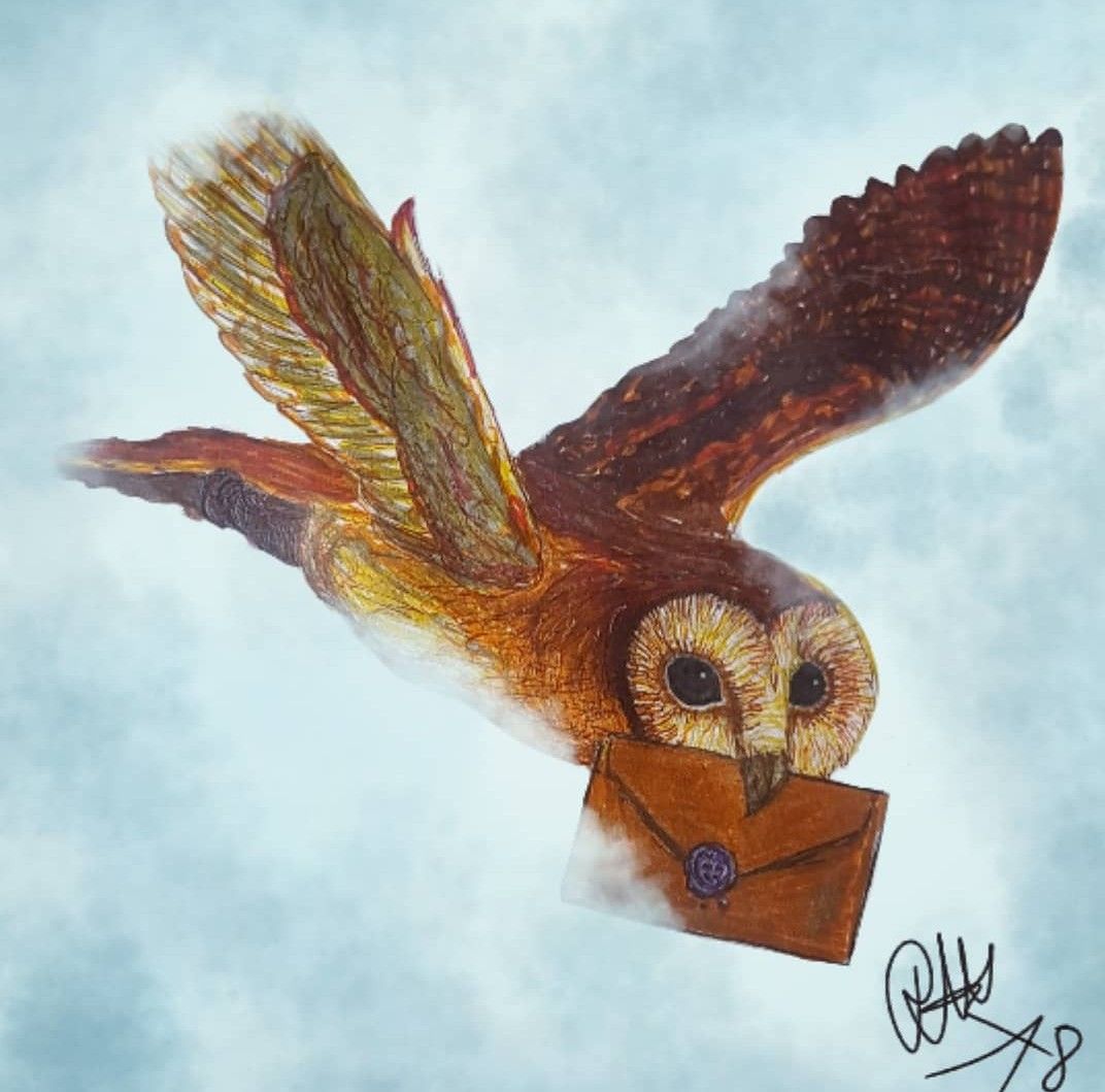 Harry Potter owl with ma Hogwarts letter ^-^ I was bored.. | 25th March ...