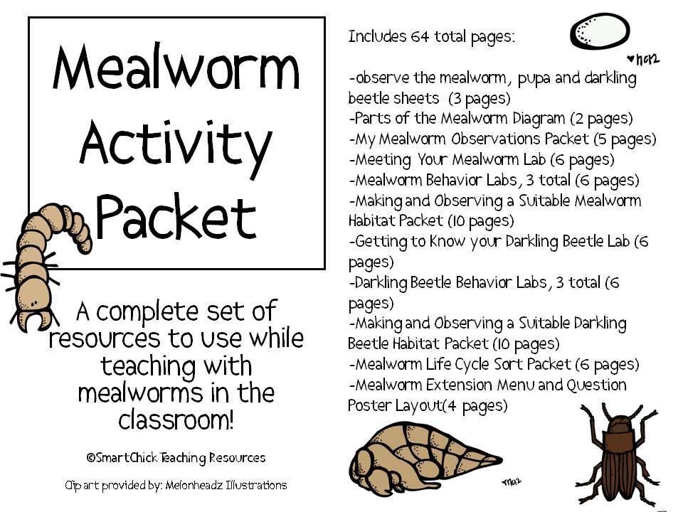 Understanding The Mealworm Life Cycle: A Comprehensive Worksheet - Kye ...