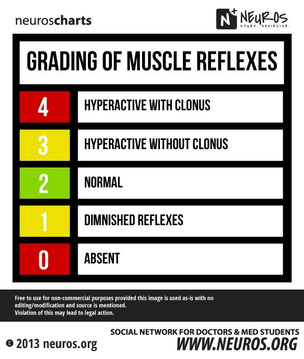 Reflexes Grading Scale | My XXX Hot Girl