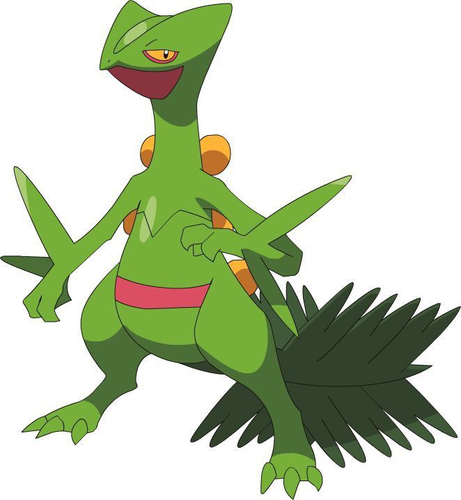 Desenho De Sceptile Dos Pokemon Para Colorir - vrogue.co