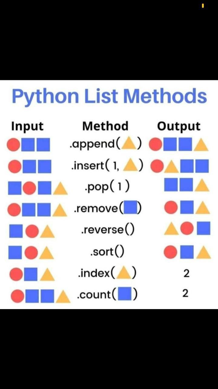 Python in 2024