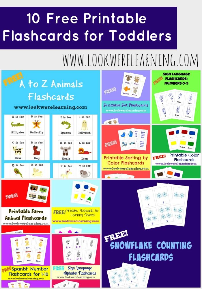 10 free printable flashcards for toddlers flash cards preschool printables number kindergarten data science