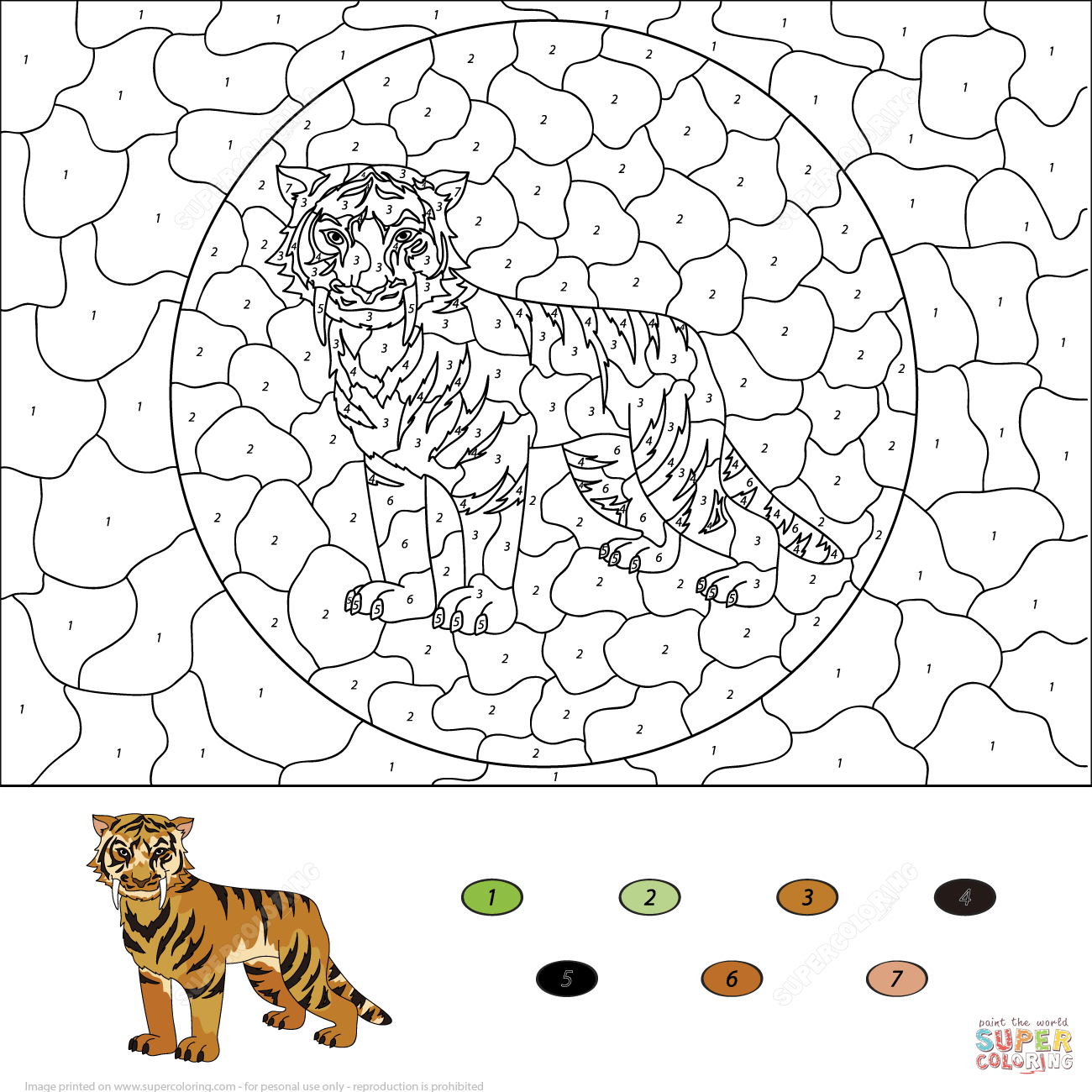 sabertoothedtigercolorbynumbercoloringpage.png