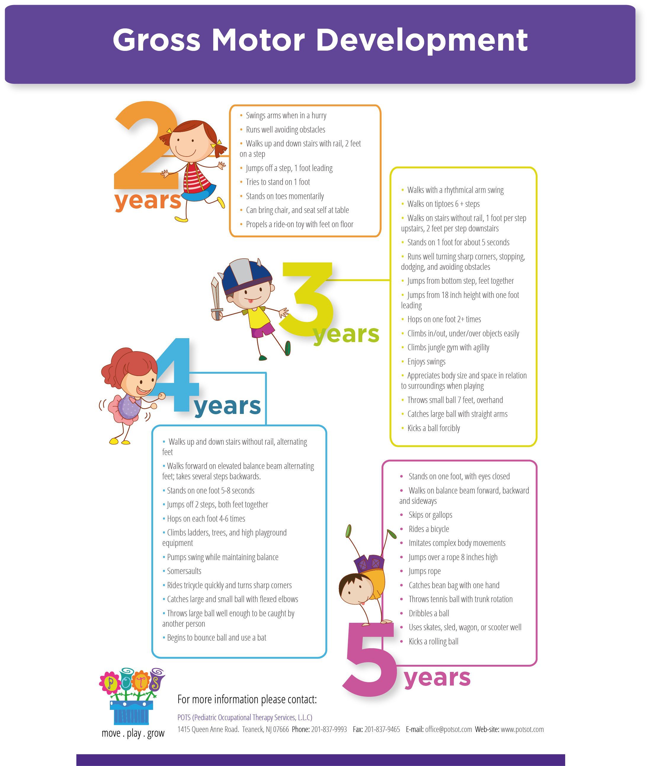 Gross Motor Development Infographic | Gross motor, Fine motor skills ...