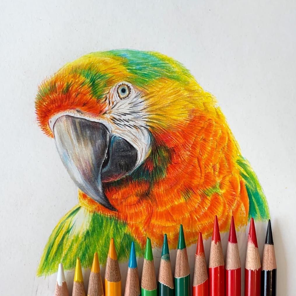 Creative Color Pencil Drawing Ideas