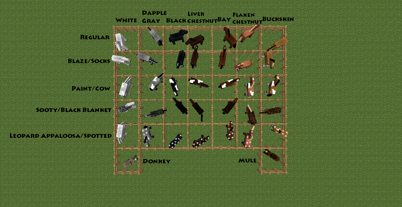 Horse Breeding Minecraft Chart