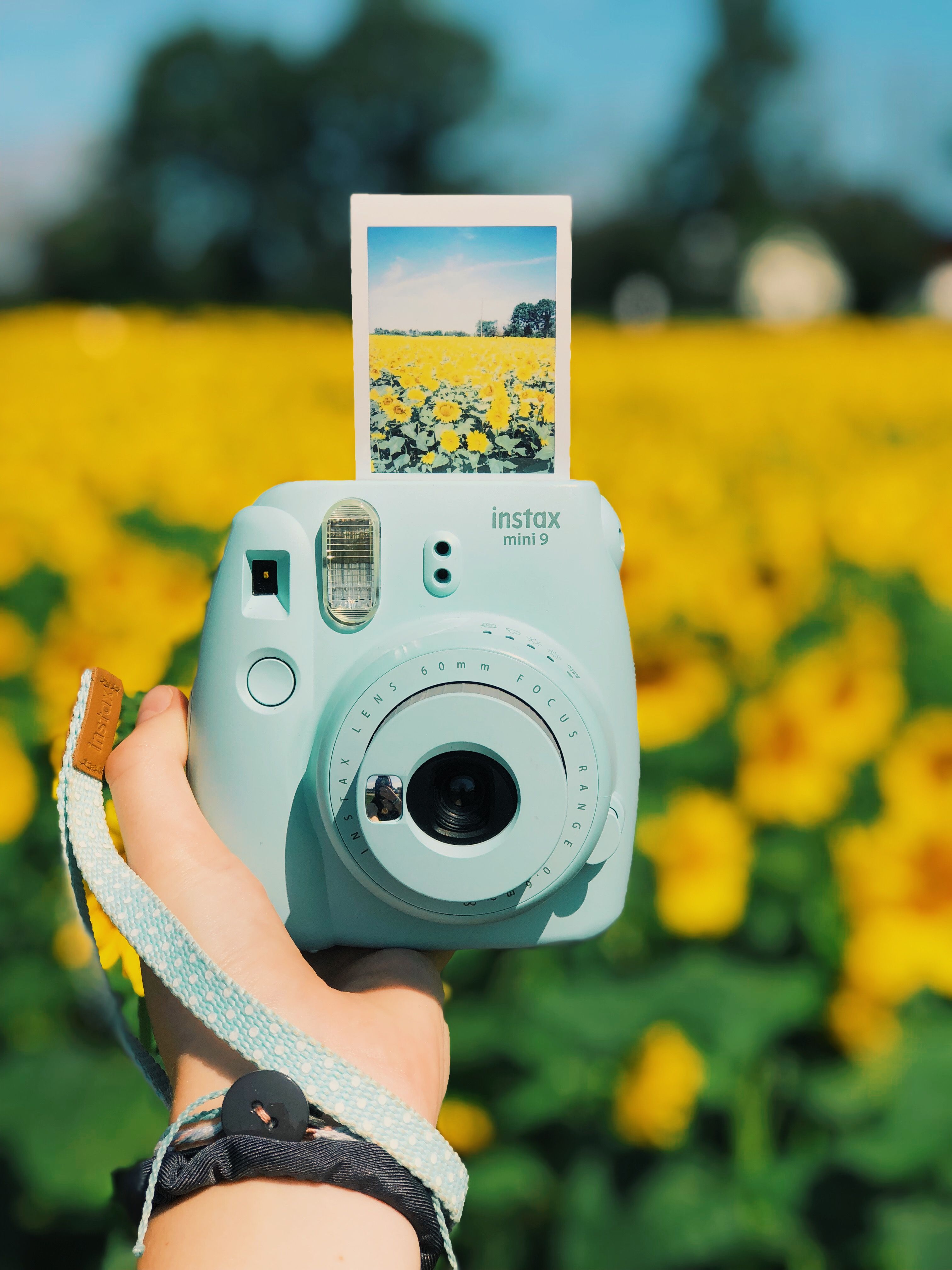 Sunflower Polaroid | Polaroidkamera, Polaroid bilder, Schöne tumblr bilder