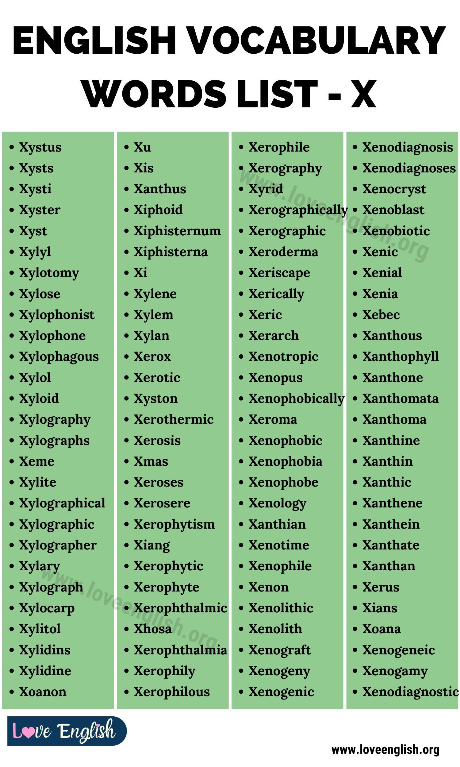 Words Starting With X That Describe a Person - AmiyakruwAustin