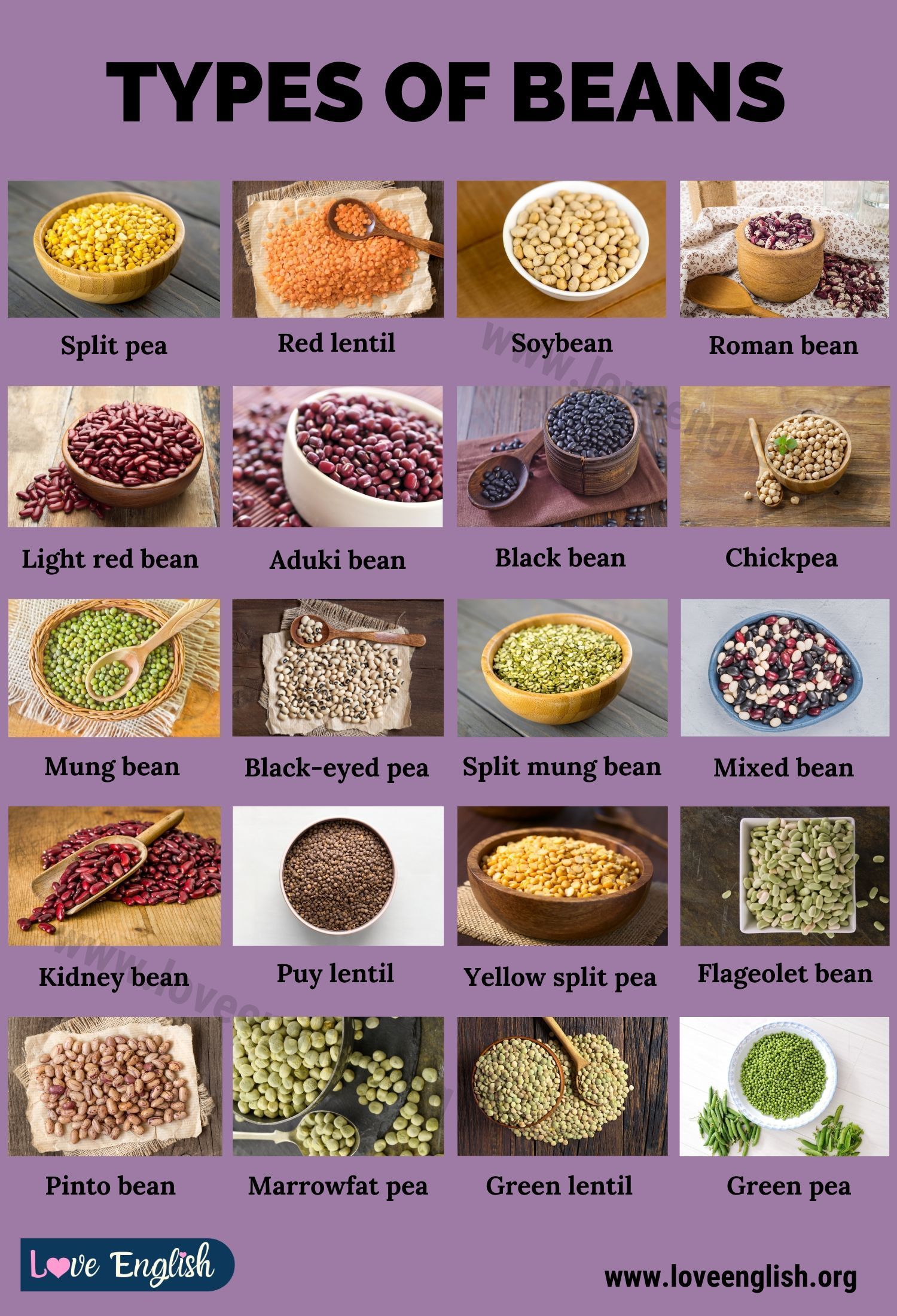 Types Of Beans Chart