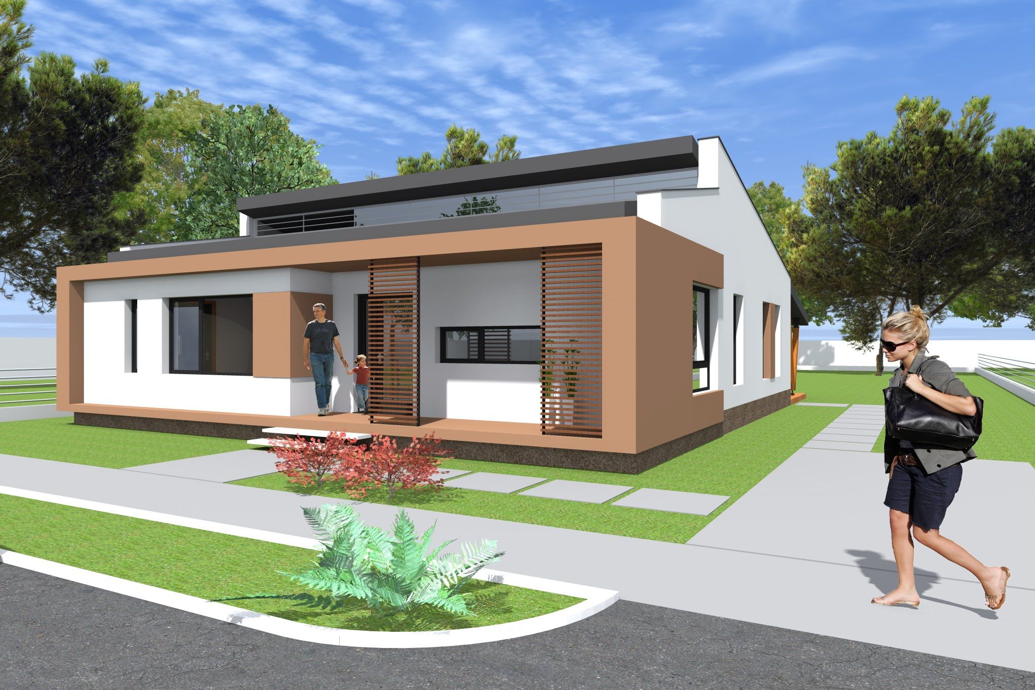 Modern Small House Bungalow