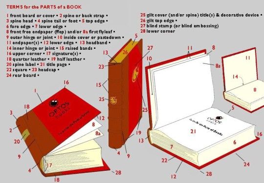 15 detailed diagrams that show how a book is made | Parts of a book ...