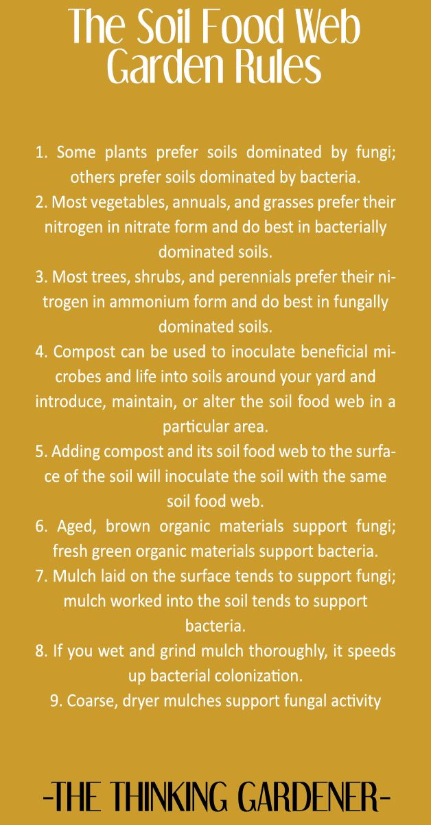 Soil Food Web - Garden Rules (Part One) | Food web, Soil, Plants