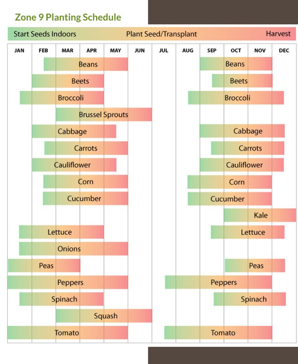 Pin on My Garden | When to plant vegetables, Planting vegetables ...