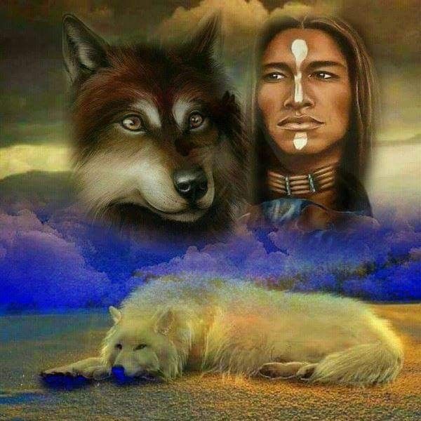 Native American Wolf, Native American Pictures, American Indians ...