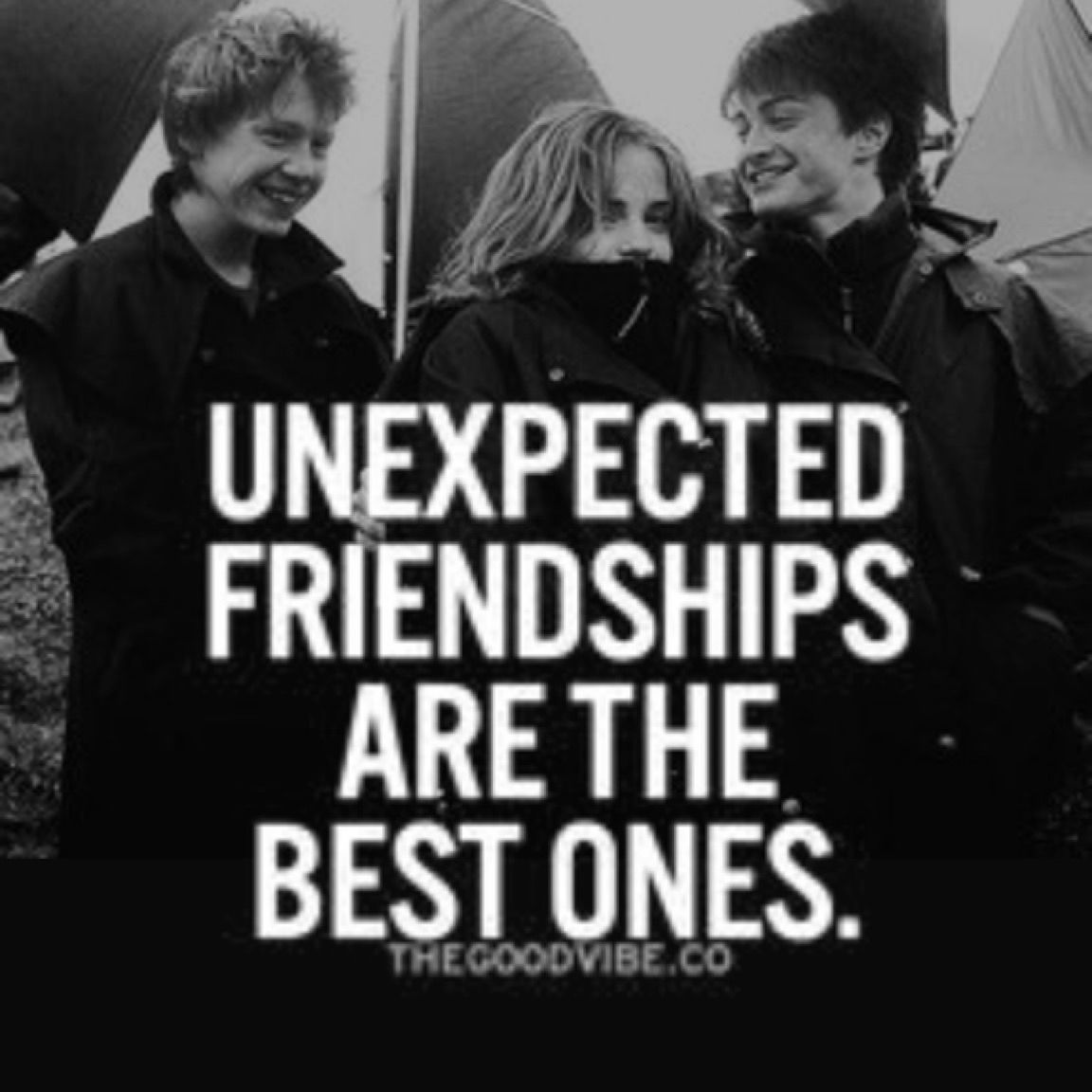 Harry Potter Friendship Quotes