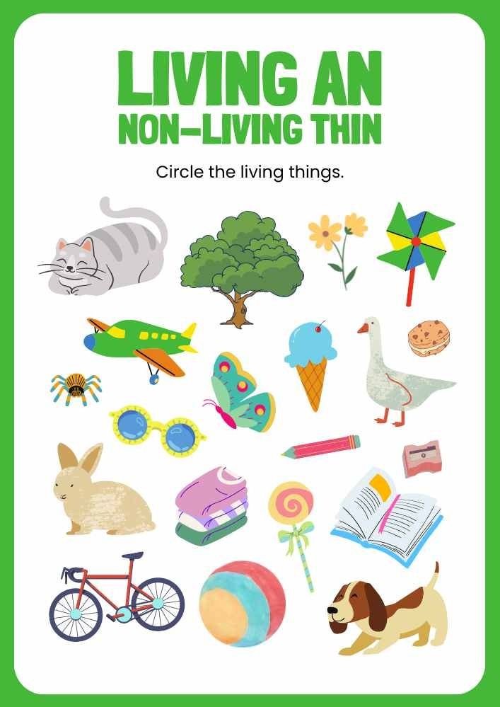 Living And Non-Living Things English Kindergarten Level Worksheet