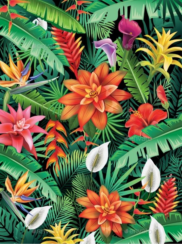 Background From Tropical Flowers | Tropical painting, Tropical art ...