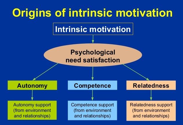 Pin on Intrinsic motivation