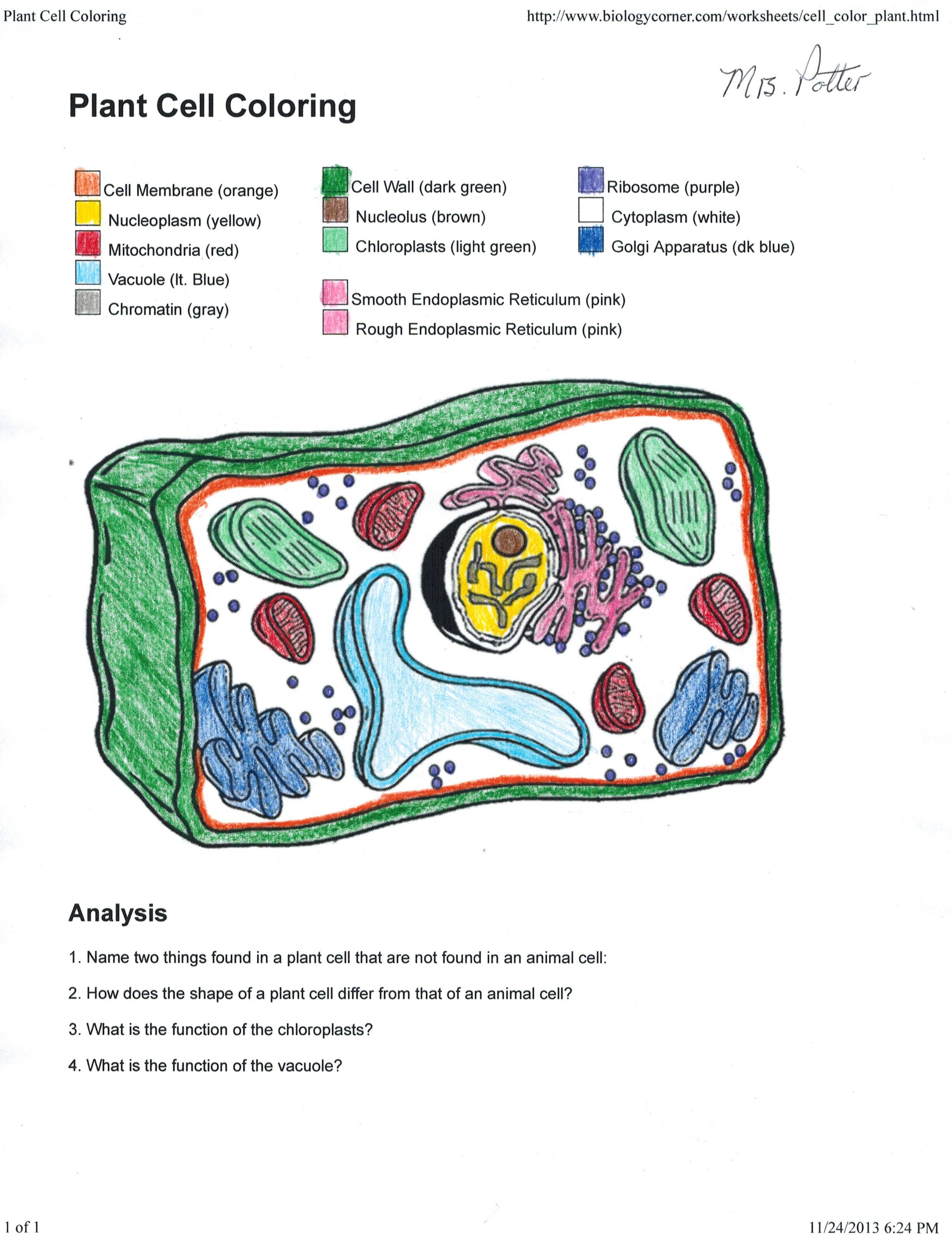 Animal Cell Coloring Worksheet