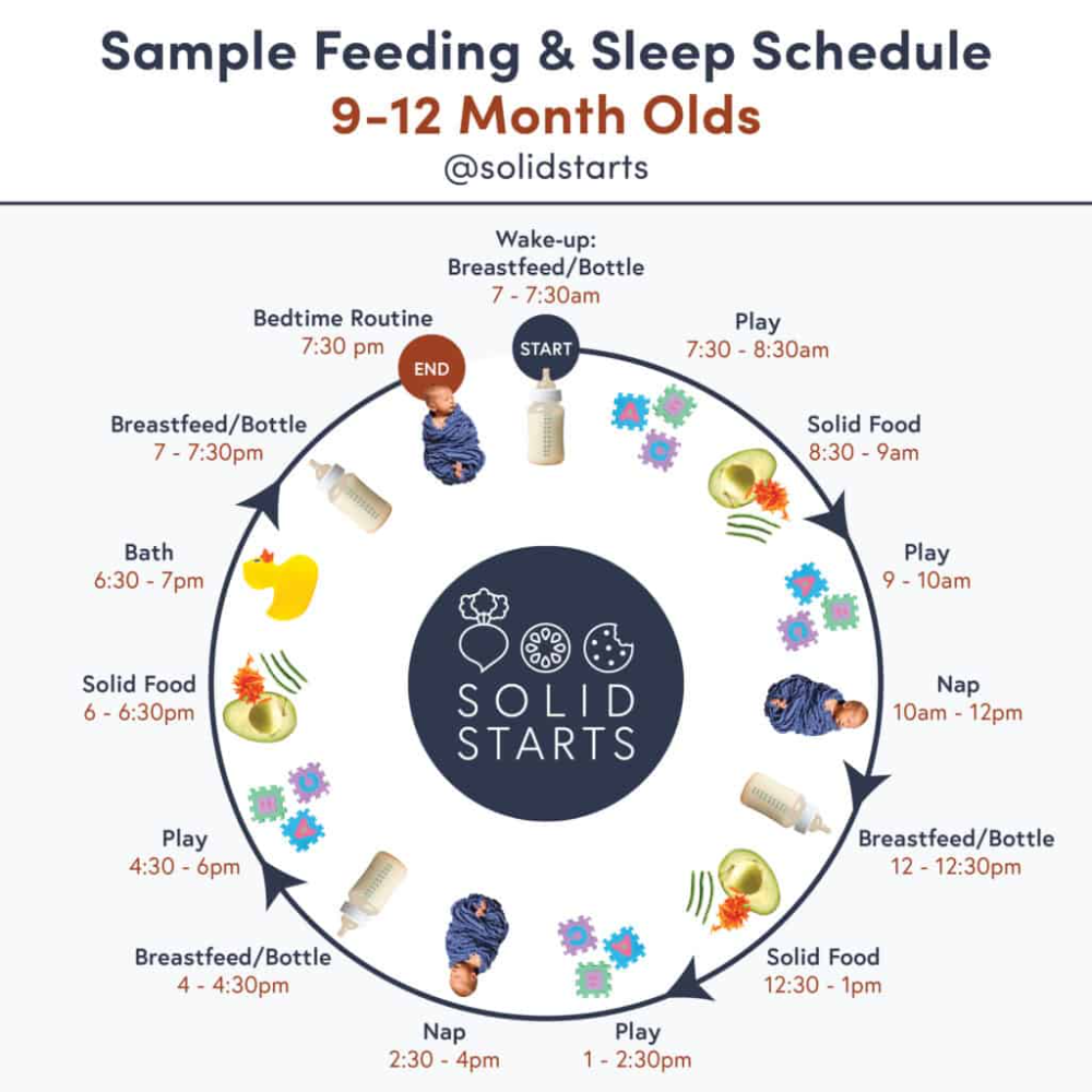 Baby Feeding Schedules by Month - From 6 to 24 Months - Solid Starts ...