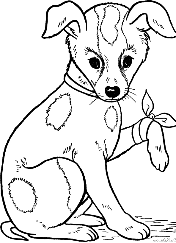 Dogs That Are Injured Coloring Pages | Dog coloring page, Animal ...