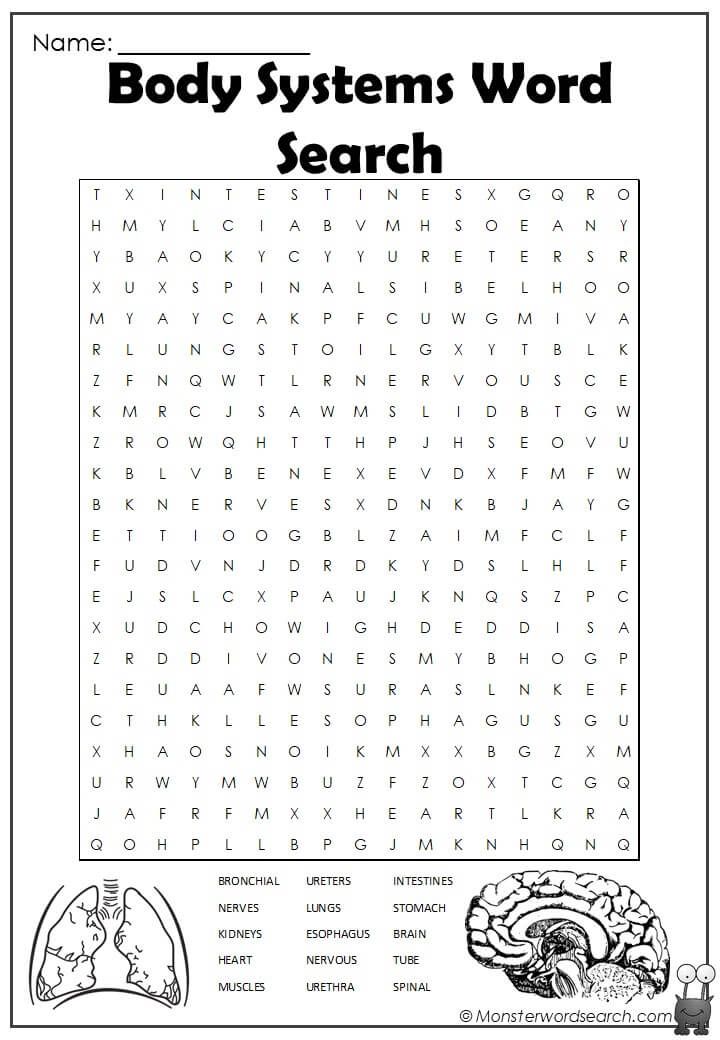 Body Systems Word Search | Body systems worksheets, Body systems, Word ...