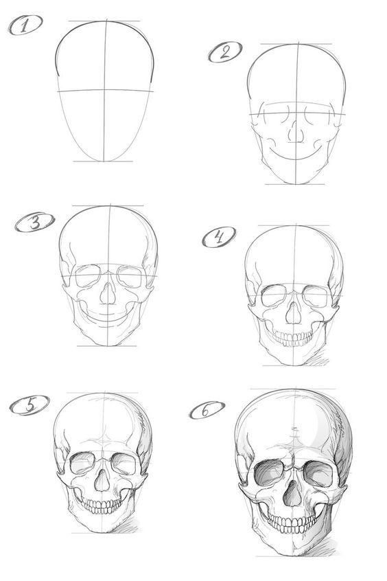 How to draw a skull with a pencil step-by-step drawing tutorial ...