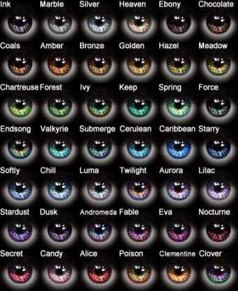 23+ Trendy Eye Color Chart Ideas #eye | Eye color, Blue eye color