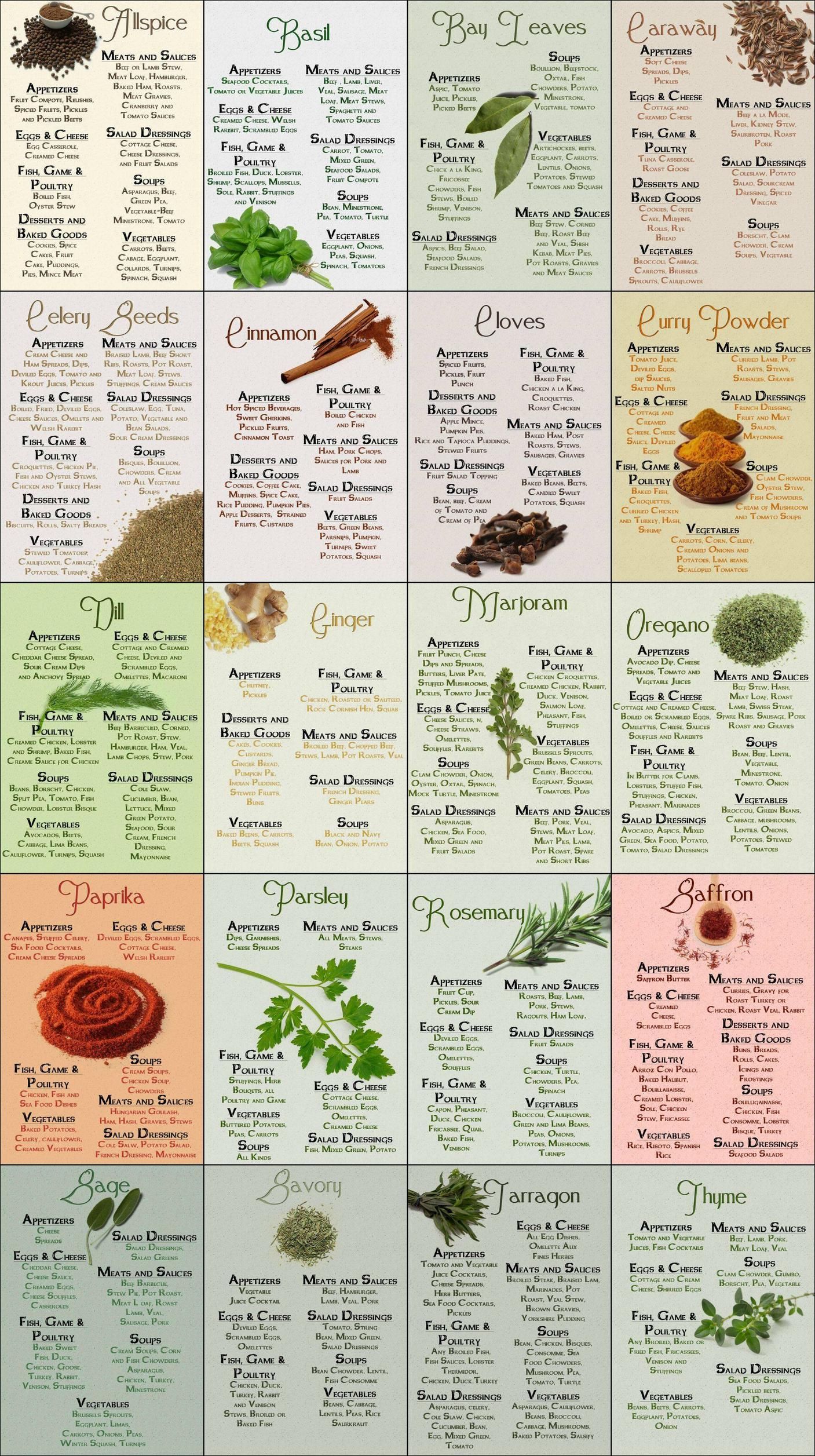 The Ultimate Guide To Spices | Spice chart, Spices, Herbs