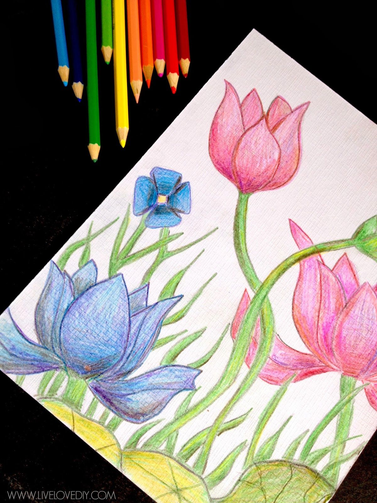 Colored Pencil Drawing Ideas For Beginners : 75 Easy And Cool Drawing ...