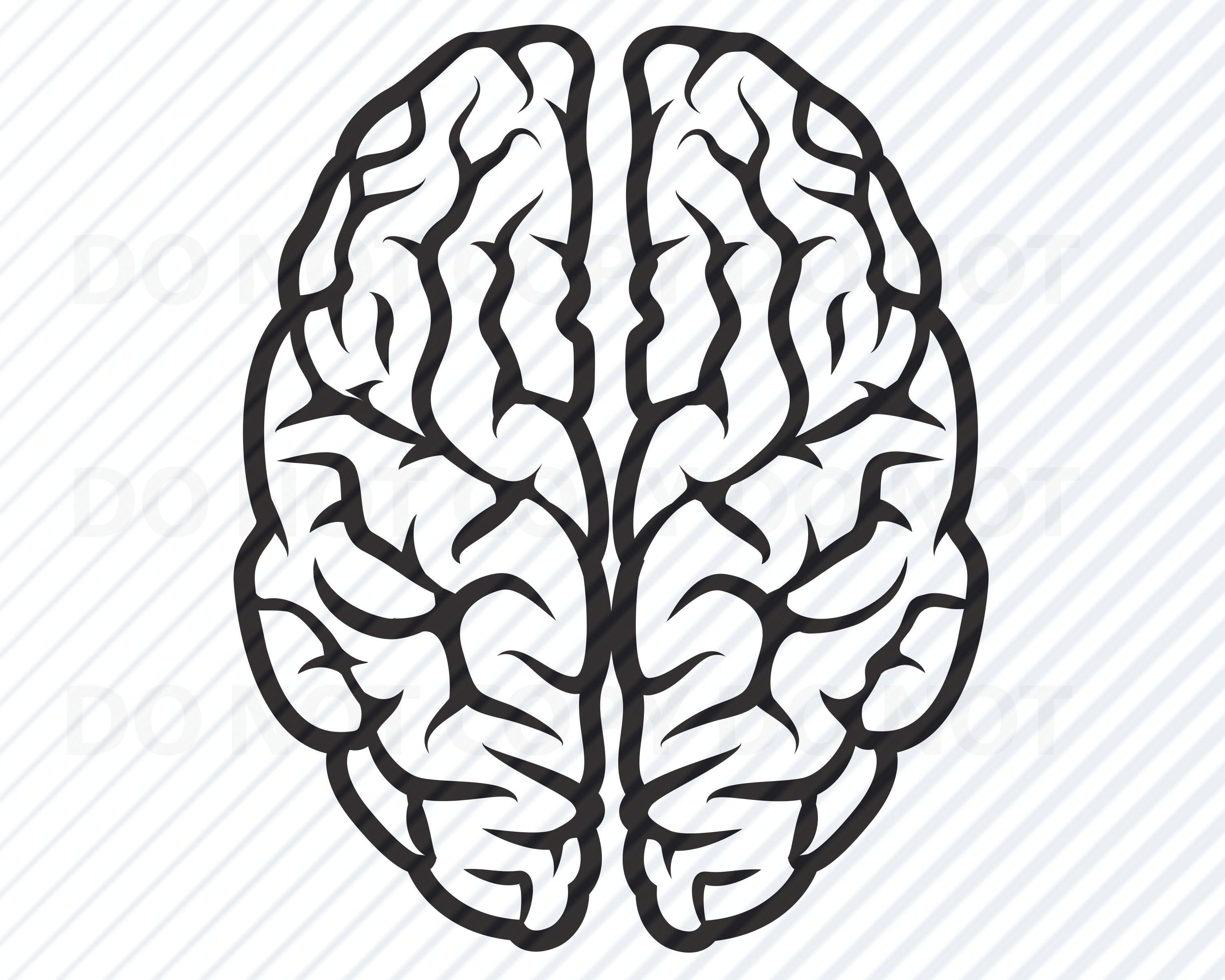 Black And White Brain Clipart Png