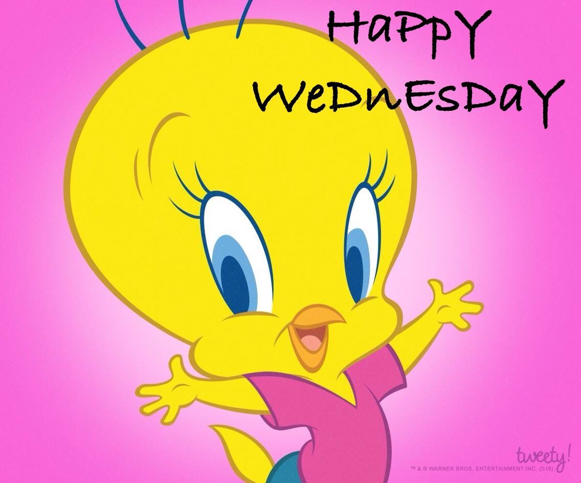 Happy Wednesday Cute Cartoon Pictures, Bird Pictures, Cartoon Images ...