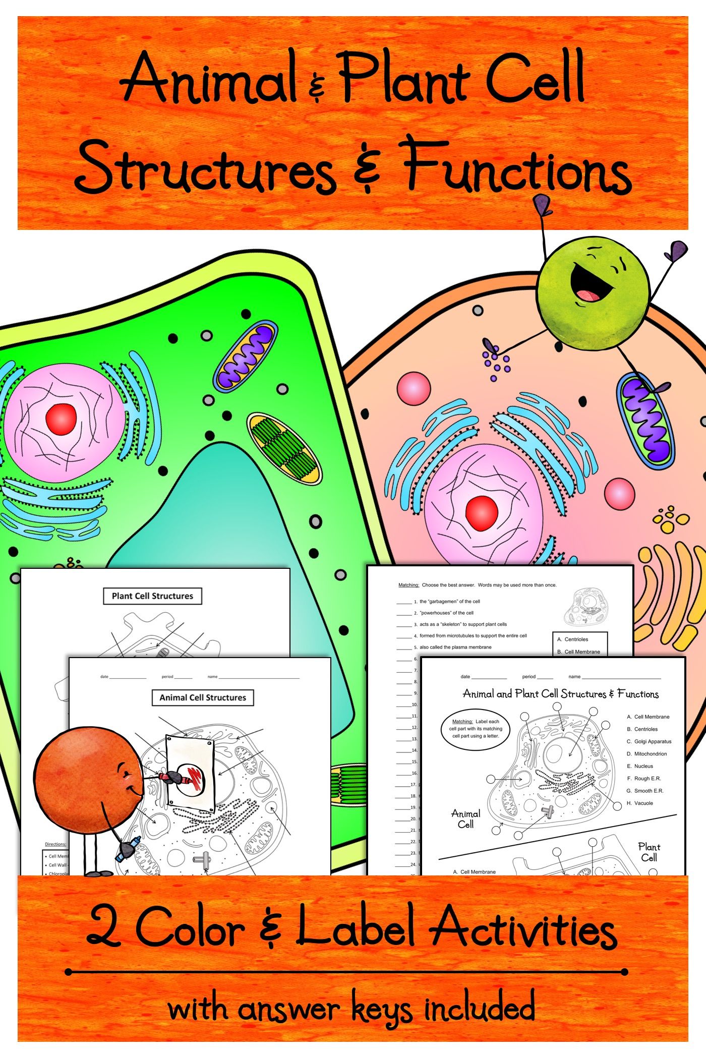 These animal & plant cell worksheets were the perfect activities to ...