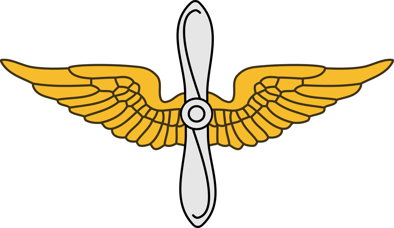 Army Aviation Logo