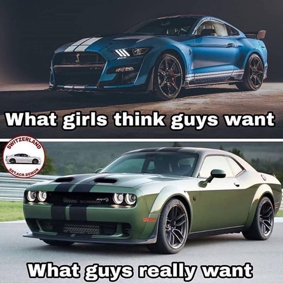 Hellcat Challenger, Scat Pack, Car Memes, Girl Thinking, Cars And ...